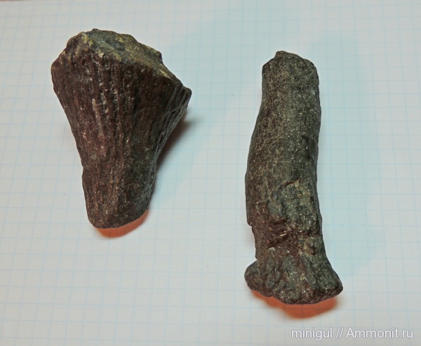 губки, Башкирия, Суракай