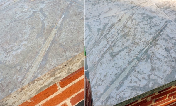 Endoceras, Великий Новгород