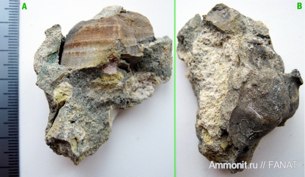 Полтавская область, Комсомольск