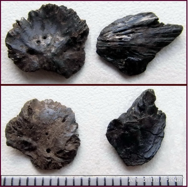 намывные пески