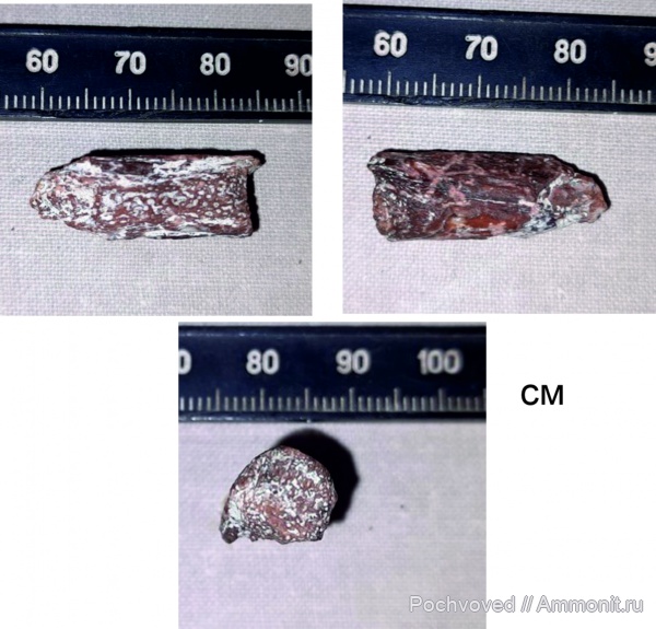 Береславское вдхр. Волгоградская область.