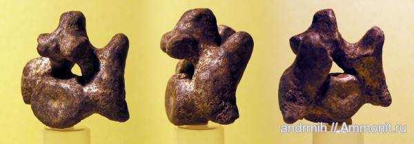 неоген, миоцен, позвонки, тюлени, р. Сухой Апчас