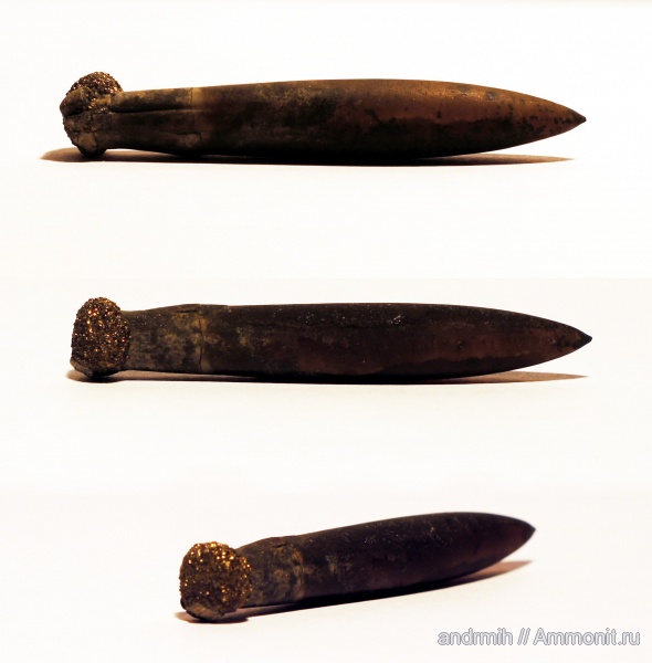 белемниты, пирит, Карачаево-Черкессия, belemnites