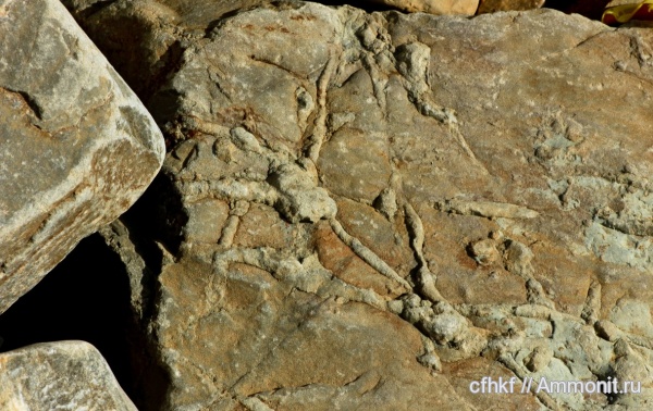 не понятное