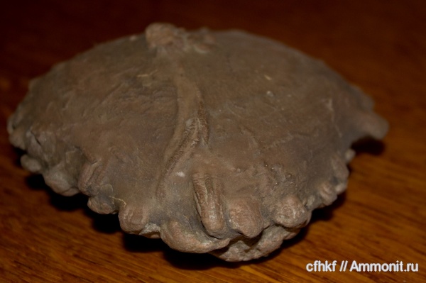 неопознанное