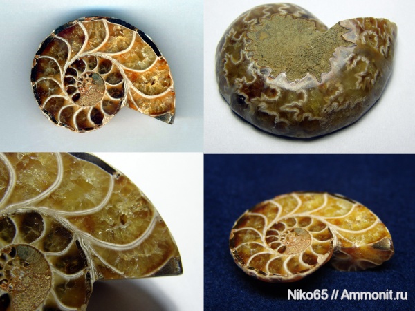 Мадагаскар