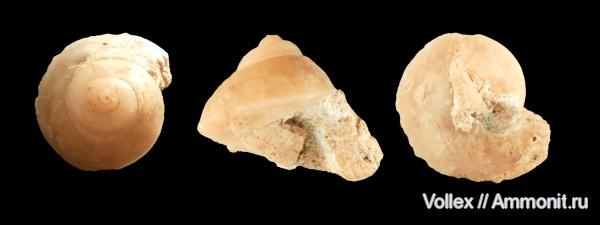 Балка Голландия