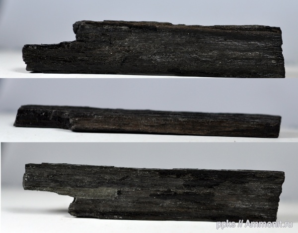 юра, Еганово, Jurassic