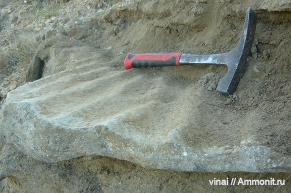 казанский ярус