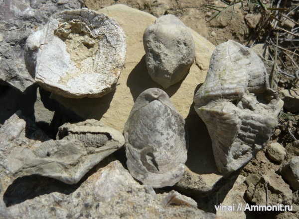 казанский ярус