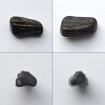 Фрагмент кости рептилии или рыбы?