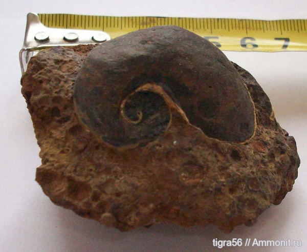 Таманский п-ов, Железный Рог