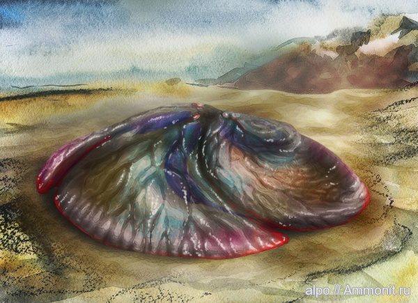 венд, эдиакарий, арт, Albumares