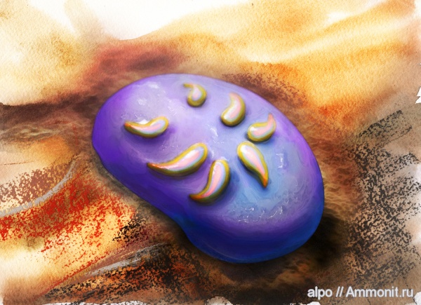 венд, эдиакарий, арт, Tamga