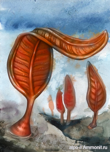 венд, эдиакарий, арт, Charniodiscus