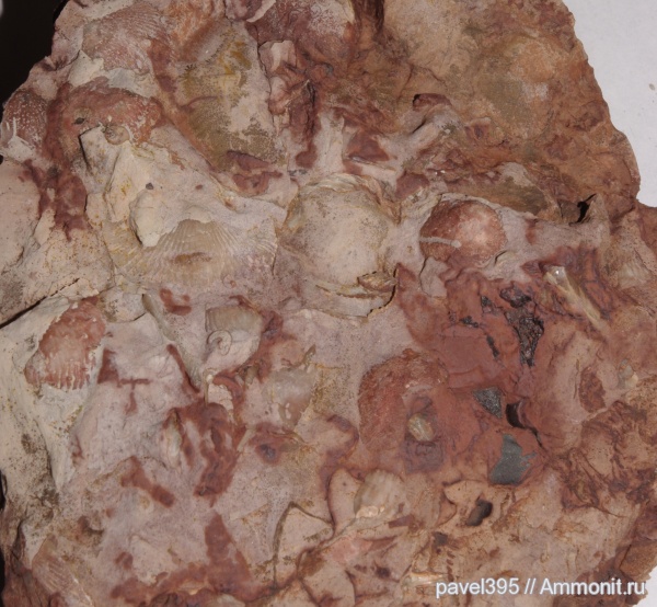 Ильменский глинт