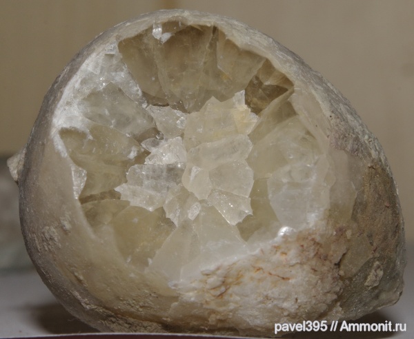 морские пузыри, Рогачевский карьер