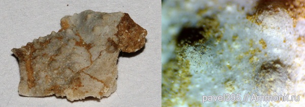 ордовик, Ленинградская область