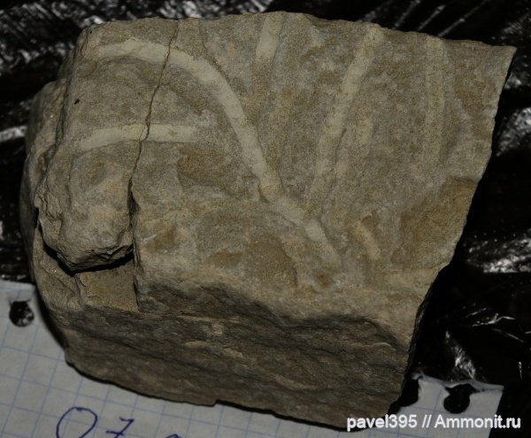 Северный Кавказ и побережье