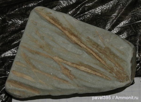 мел, Краснодарский край, Агой