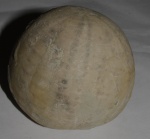 Морской ёж, Дагестан