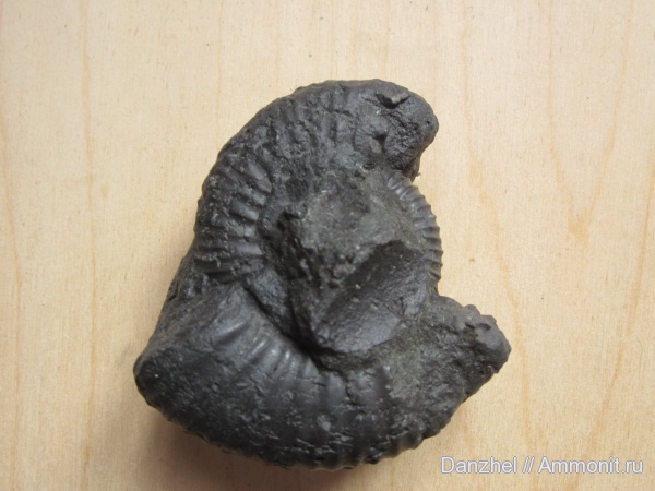 Москва, Варшавское шоссе