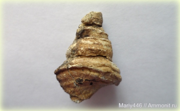 Ульяновская область, Новоспасский район