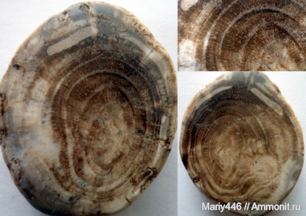 Ульяновская область, Новоспасский район