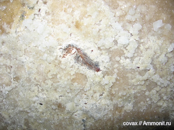 Всякая всячина