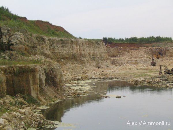 карбон, Домодедово, известняк