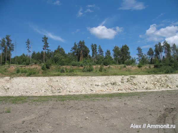 карбон, юра, Пески, Jurassic