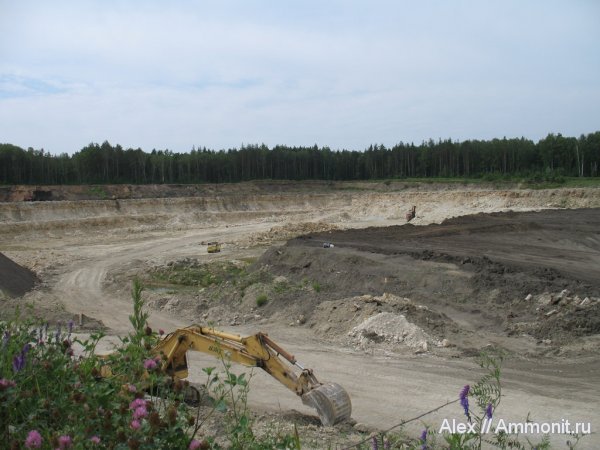 карбон, юра, Пески, Jurassic