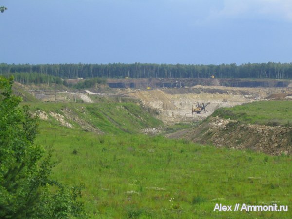 карбон, юра, Голутвин, Jurassic