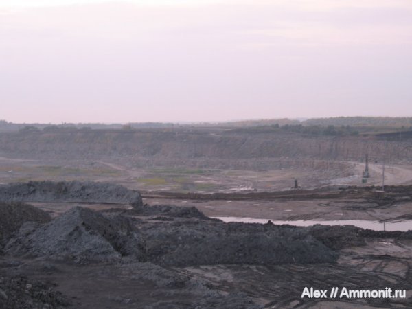 карбон, юра, Михайлов, оксфорд, Oxfordian, Jurassic