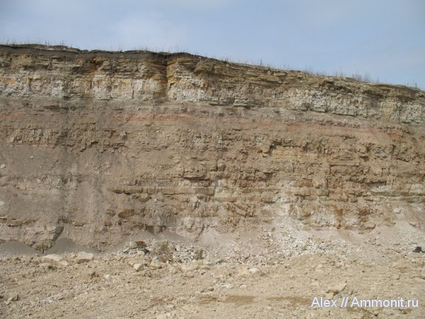 карбон, Цемгигант