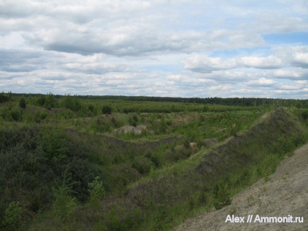 юра, Воскресенск, Елкино, Jurassic