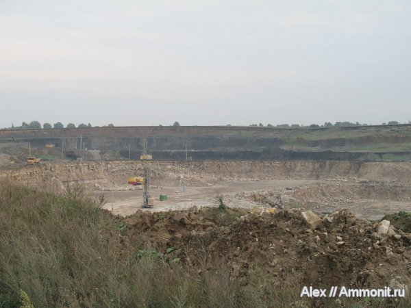 карбон, юра, Михайлов, оксфорд, келловей, Oxfordian, Callovian, Jurassic, Middle Jurassic