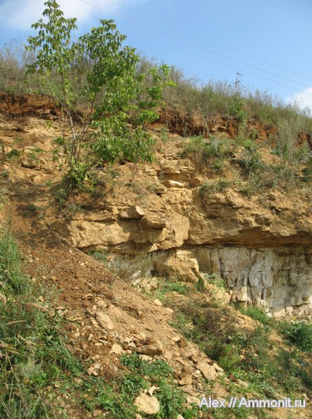 карбон, Гжель