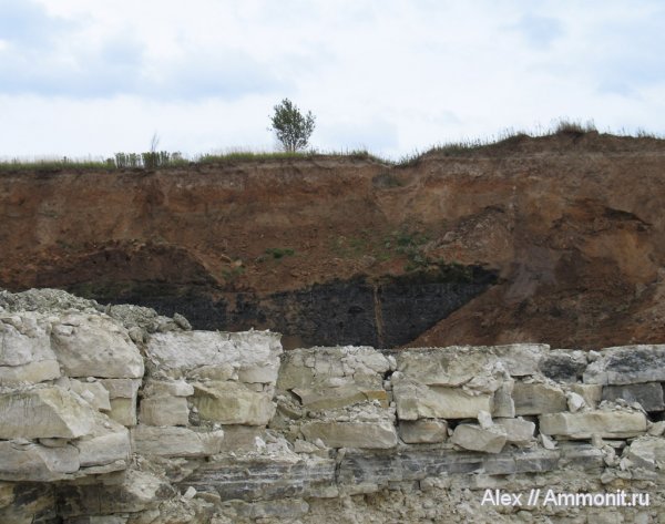 карбон, юра, Домодедово, Jurassic