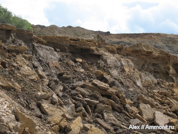 юра, юрский период, нижний келловей, келловей, Спартак, Callovian, Jurassic, Middle Jurassic, Lower Callovian