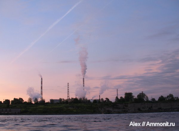 трилобиты, ордовик, р. Волхов, Ordovician