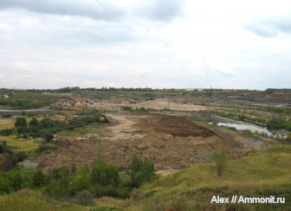 карбон, юра, Спартак, Jurassic