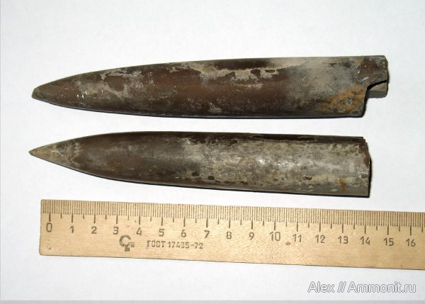 белемниты, Пески, юрский период, Cylindroteuthis, Jurassic, belemnites