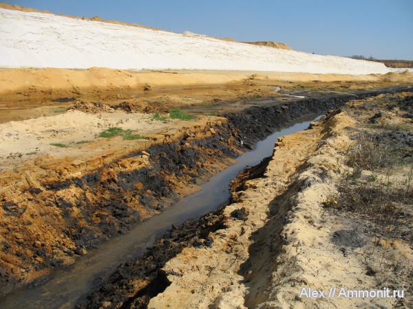 юра, Еганово, Jurassic