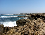 Окаменелости острова Кипр - место находок
