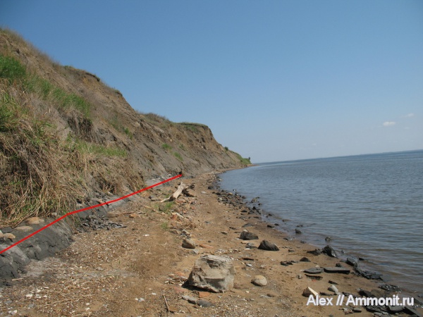 мел, апт, аптская плита, Aptian, Cretaceous