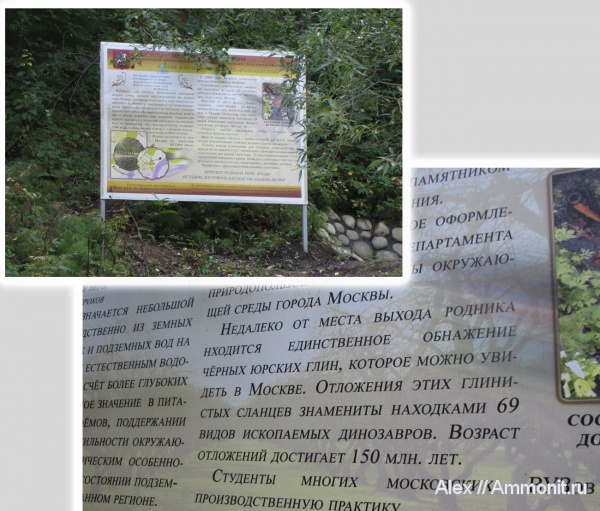 юра, Коломенское, Jurassic