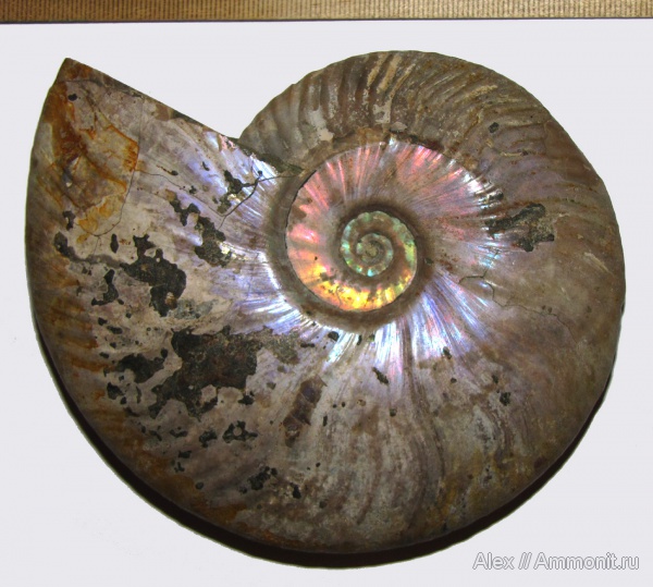 Мадагаскар