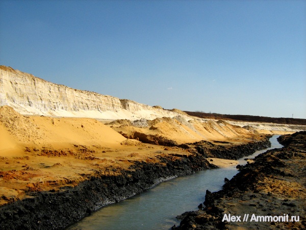 юра, волжский ярус, Еганово, Volgian, Jurassic
