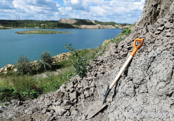 келловей, Змеинка, Callovian, Middle Jurassic